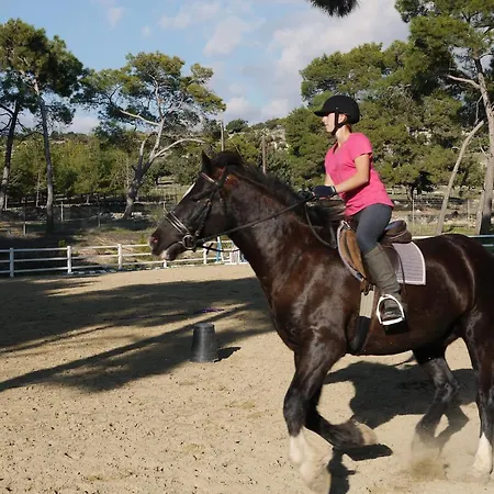 Apartman Beautifully Decorated Alambra, With Coast And Sunset Views, Aphrodite Hills